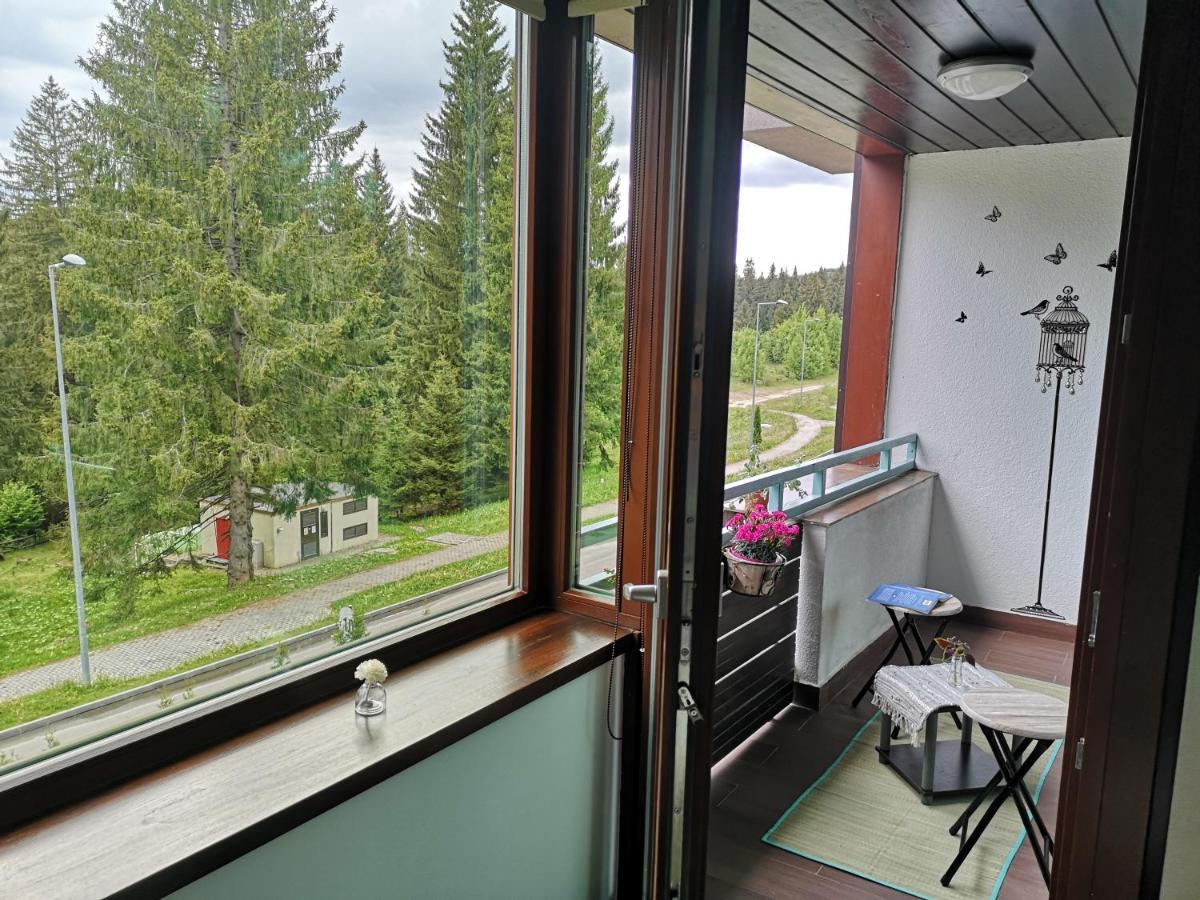 The Evergreen Nest - Silver Mountain Poiana Brasov Exterior photo