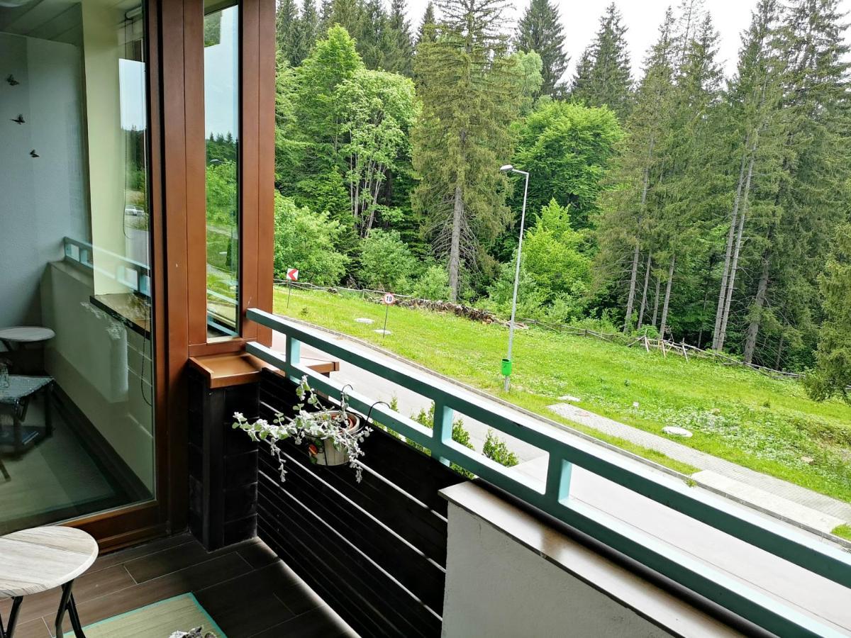 The Evergreen Nest - Silver Mountain Apartment Poiana Brasov Exterior photo