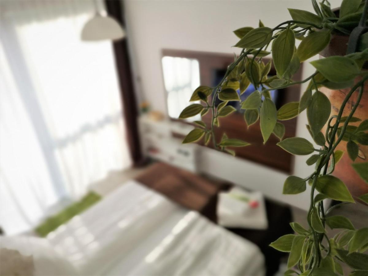 The Evergreen Nest - Silver Mountain Poiana Brasov Exterior photo