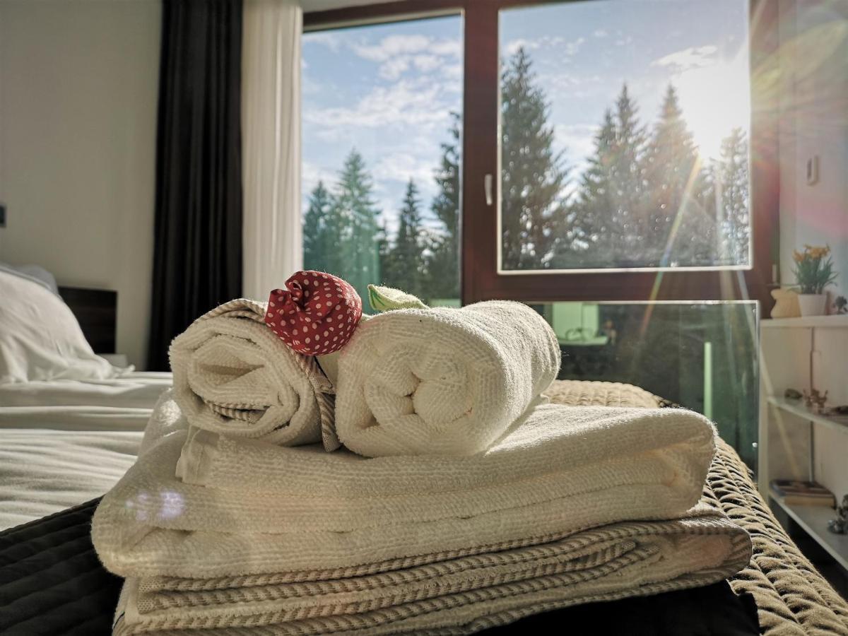 The Evergreen Nest - Silver Mountain Poiana Brasov Exterior photo