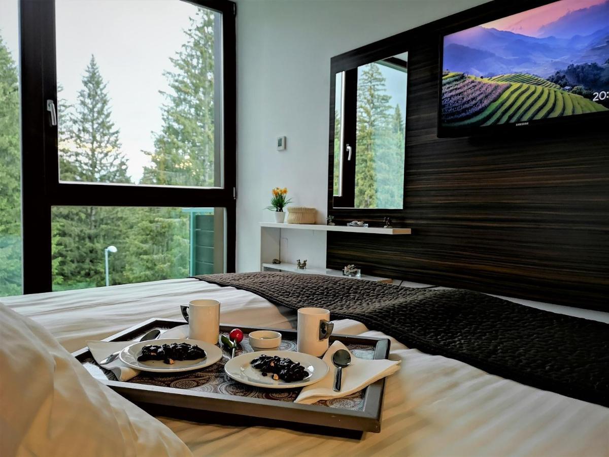 The Evergreen Nest - Silver Mountain Poiana Brasov Exterior photo