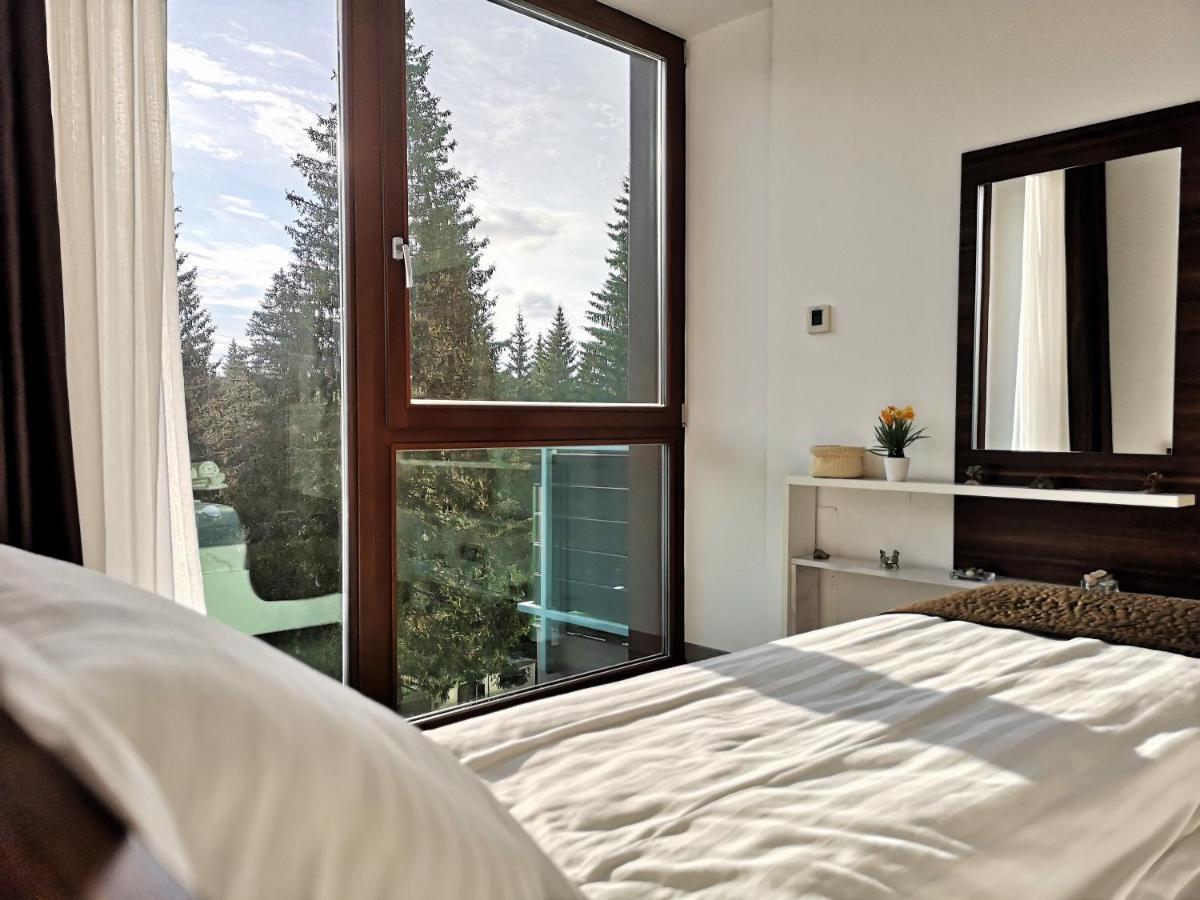 The Evergreen Nest - Silver Mountain Poiana Brasov Exterior photo