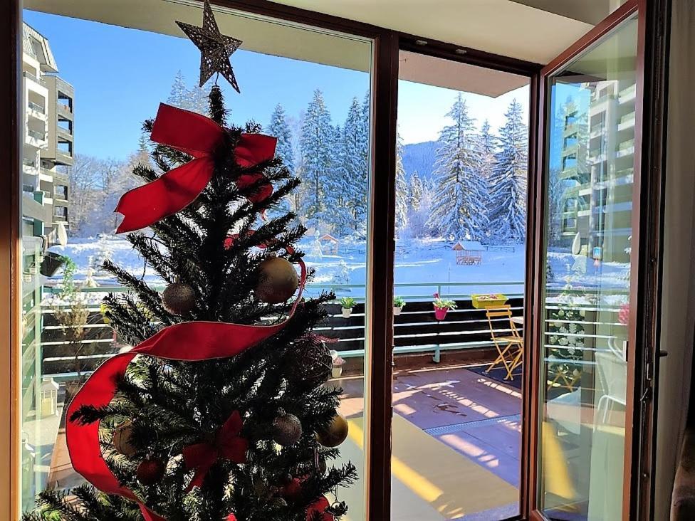 The Evergreen Nest - Silver Mountain Poiana Brasov Exterior photo