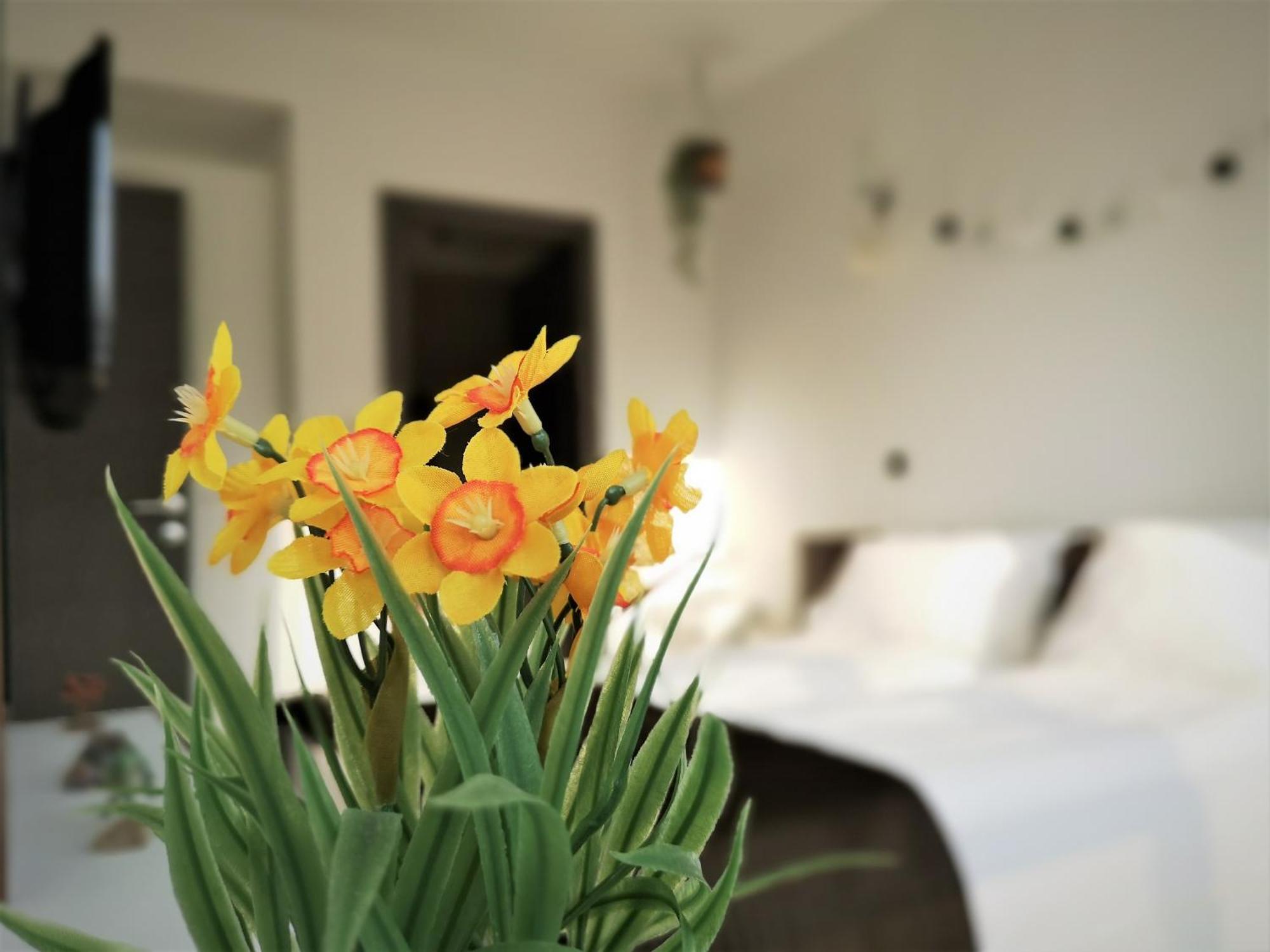 The Evergreen Nest - Silver Mountain Poiana Brasov Room photo