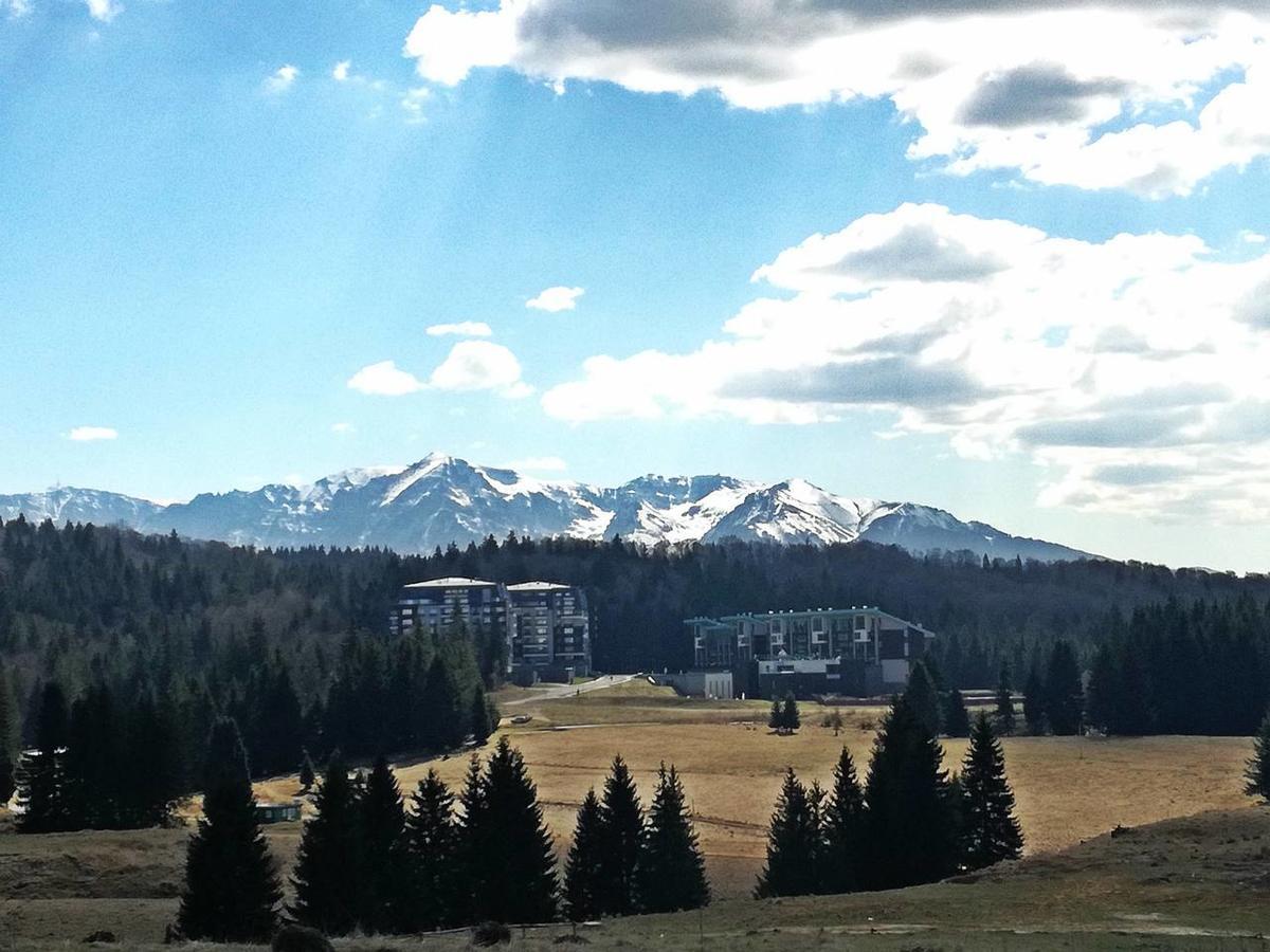 The Evergreen Nest - Silver Mountain Poiana Brasov Exterior photo