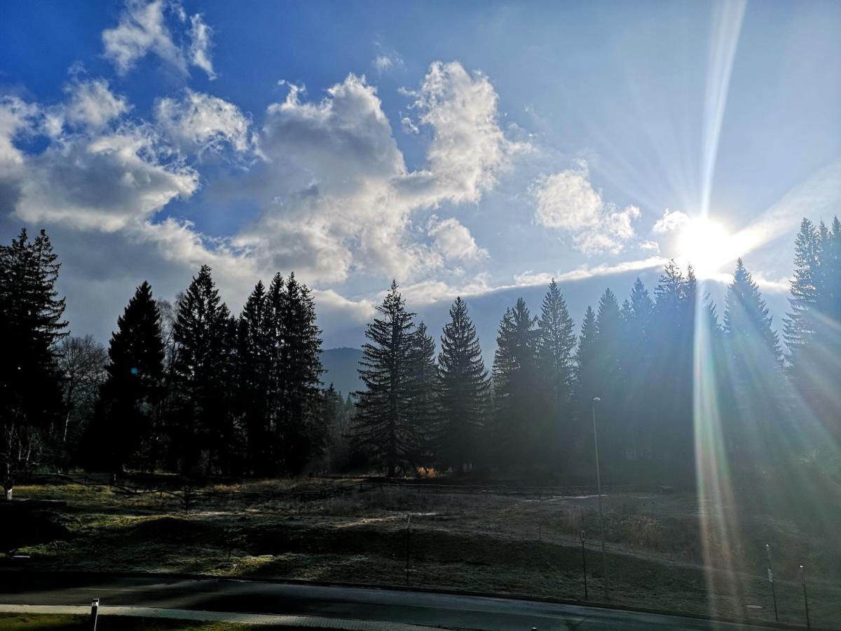 The Evergreen Nest - Silver Mountain Poiana Brasov Exterior photo